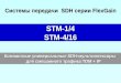 STM-1/4 STM-4/16