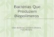 Bactérias Que Produzem Biopolímeros