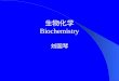 生物化学 Biochemistry 刘国琴
