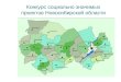 Конкурс социально значимых проектов Новосибирской области