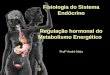Fisiologia do Sistema Endócrino Regulação hormonal do Metabolismo Energético Profº André Maia