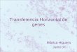 Transferencia Horizontal de genes