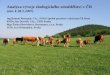 Analýza vývoje ekologického zemědělství v ČR (stav k 28.2.2007)