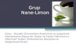 Grup  Nane-Limon