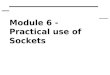 Module 6 - Practical use of Sockets