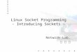 Linux Socket Programming - Introducing Sockets  –