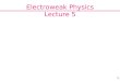 Electroweak Physics Lecture 5