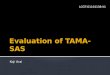 Evaluation of TAMA-SAS
