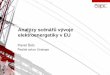 Analýzy scénářů vývoje elektroenergetiky v EU