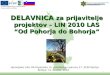 DELAVNICA  za prijavitelje projektov – LIN 2010 LAS “Od Pohorja do Bohorja”