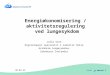 Energiøkonomisering / aktivitetsregulering  ved lungesykdom