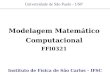 Modelagem Matemático Computacional FFI0321
