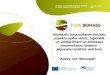 I Biomasas tiesisko aspektu izpēte valsts, reģionālā un vietējā līmenī