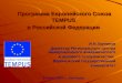 Программа  Европейского Союза TEMPUS  в Российской Федерации