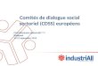 Comitésde dialogue social sectoriel (CDSS)  européens ETUI/Séminaire IndustriAll  Europe Budapest