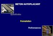 BETON AUTOPLACANT Spécificités Formulation Performances