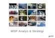 WSP Analys & Strategi
