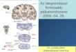 Az idegrendszer fontosabb pályarendszerei 2009. 04. 28