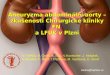 Aneuryzma  abdominální aorty – zkušenosti Chirurgické kliniky FN  a LFUK v Plzni