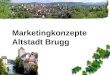Marketingkonzepte Altstadt Brugg