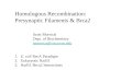 Homologous Recombination: Presynaptic Filaments & Brca2 Scott Morrical Dept. of Biochemistry