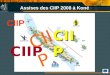 Assises des CIIP 2008 à Koné