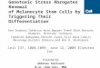 Genotoxic Stress Abrogates Renewal of Melanocyte Stem Cells by Triggering Their Differentiation