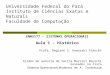 Universidade  Federal do Pará Instituto de  Ciências Exatas e Naturais Faculdade de  Computação