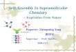 Self-Assembly In Supramolecular Chemistry -- Inspiration From Nature