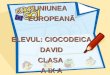 UNIUNEA  EUROPEAN Ă ELEVUL: CIOCODEICA DAVID CLASA  A IX A