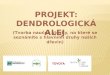 Projekt: Dendrologická alej