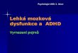 Lehká mozková dysfunkce a  ADHD
