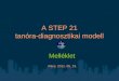 A STEP 21  tan³ra-diagnosztikai modell
