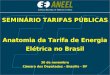 SEMINÁRIO TARIFAS PÚBLICAS Anatomia da Tarifa de Energia Elétrica no Brasil 30 de novembro