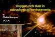 Oxygen-rich dust in astrophysical environments