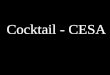 Cocktail - CESA