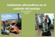 Sabidurías altoandinas en el cuidado del paisaje Vicos y Huallanca – ANCASH-