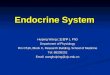 Endocrine  System