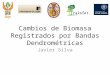 Cambios de Biomasa Registrados por Bandas Dendrométricas