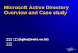 Microsoft Active Directory Overview and Case study