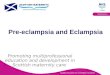 Pre-eclampsia and Eclampsia