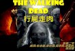 THE WALKING DEAD 行屍走肉