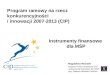Program ramowy na rzecz konkurencyjności  i innowacji 2007-2013 (CIP)