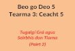 Beo go Deo 5 Tearma 3: Ceacht 5
