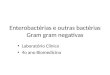 Enterobactérias e outras bactérias Gram gram negativas