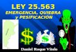 LEY 25.563 EMERGENCIA, QUIEBRA  y PESIFICACIÓN