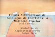 Formas Alternativas de Resolução de Conflitos: A Mediação Popular Vera Leonelli