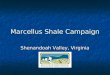 Marcellus Shale Campaign
