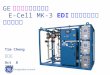 GE 節能減碳 超純水系統 E-Cell  MK-3  EDI 連續電去離子技術原理介紹