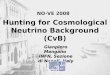 Hunting for Cosmological Neutrino Background (CvB)